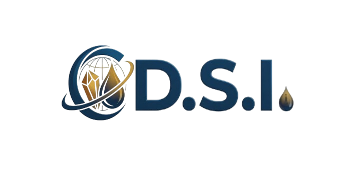 D.S.I. Logo