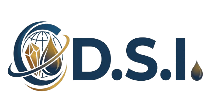 D.S.I. Logo